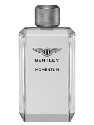 Momentum