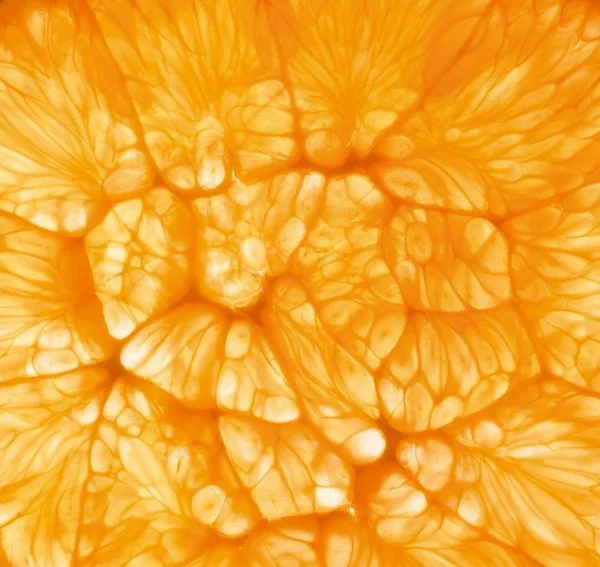 Fructis repairing shampoo thumbnail 5