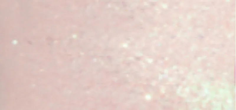 Mini Nail Polish
