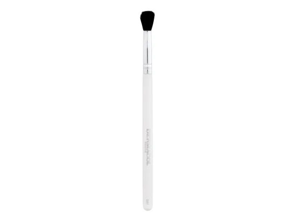 Master brush eyeshadow d81