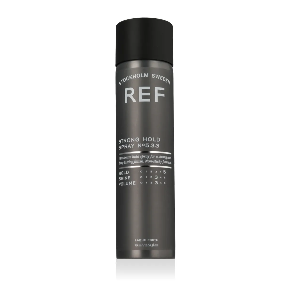 Strong Hold Spray N°533