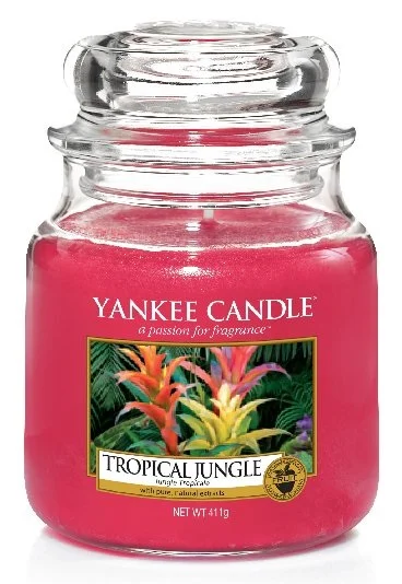 Tropical jungle