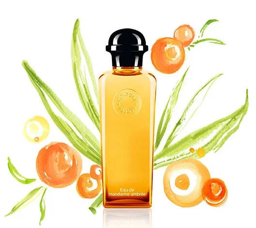 Eau de mandarine ambrée thumbnail 2