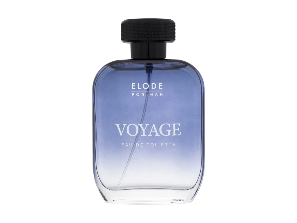 Voyage
