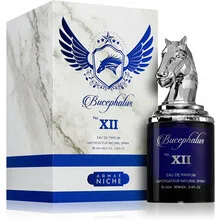 Bucephalus XII thumbnail 3