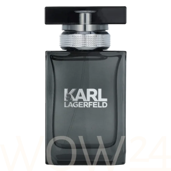 Karl lagerfeld for him thumbnail 6