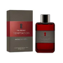 The secret temptation thumbnail 1