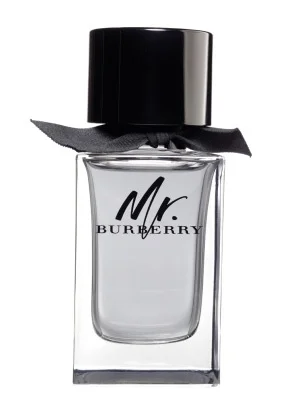 Mr. burberry