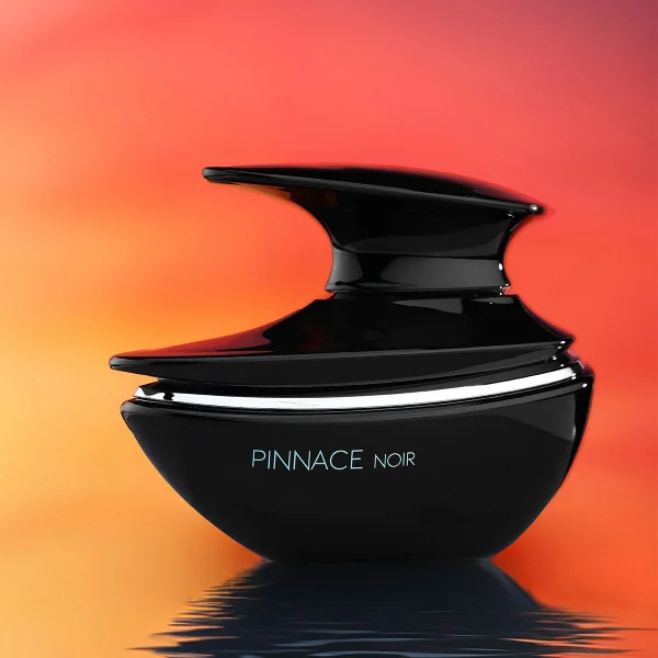 Pinnace noir thumbnail 3