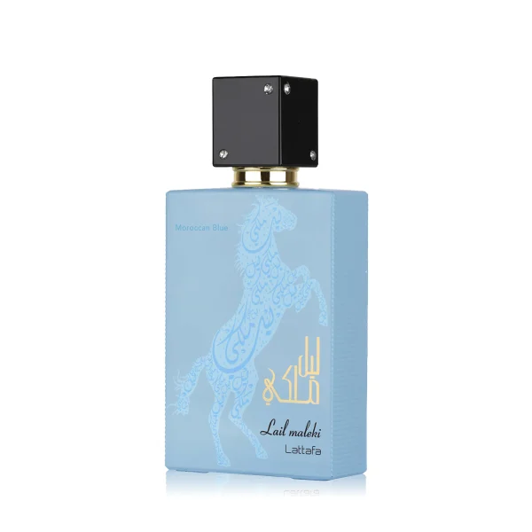 Lail maleki moroccon blue thumbnail 2