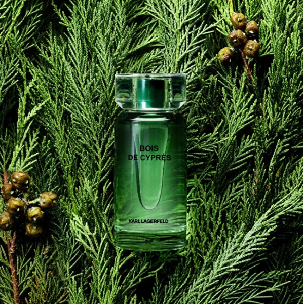 Les parfums matieres bois de cypres thumbnail 2
