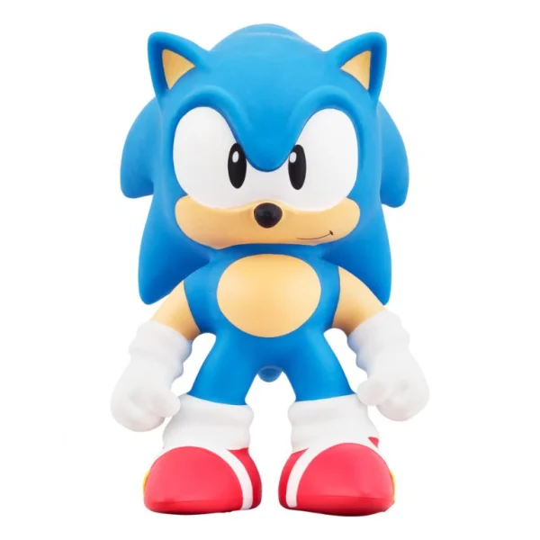 HEROES OF  SONIC THE HEDGEHOG Figūrėlė thumbnail 1