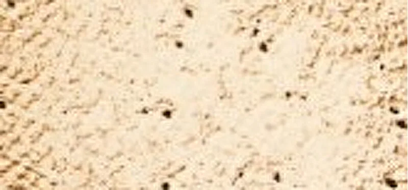 Loose mineral powder makeup SPF 25 (Loose Mineral Foundation) 8 g - Grace