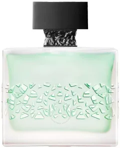 M. micallef GNTONIC thumbnail 4