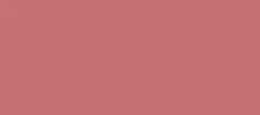 Clarins Hydrating Lipstick Joli Rouge 3.5 g - 731 Rose Berry thumbnail 1