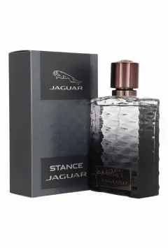 Jaguar Stance thumbnail 4