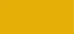 ALCINA Tinted Shampoo (Color Shampoo) thumbnail 1