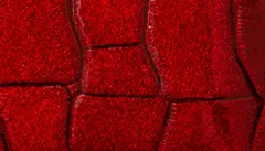 DuKaS Family red manicure Solingen shiny faux leather PL25204 thumbnail 4