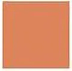 Shiseido UV Protective Compact Foundation thumbnail 2