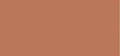 Sensai Kanebo Sensai Radiant Glow Foundation RG 205 SPF10 Brown Beige thumbnail 2