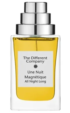 The Different Company Une nuit magnétique thumbnail 1