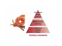 Maison Berger Paris Catalytic lamp refill Orange Cinnamon (Lampe Recharge/Refill) 500 ml 2