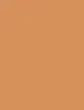 Esteé Lauder long-lasting makeup SPF 10 30 ml 3W1 Tawny Double Wear Stay-in-Place Makeup thumbnail 8