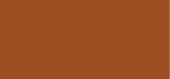 Laura Mercier Laura mercier Tinted Moisturizer SPF 20 (Oil Free Natural Skin Perfector) 50 ml - 5N1 Walnut thumbnail 1