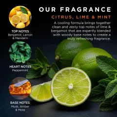Baylis & Harding Citrus, Lime & Mint Body and Hair Care Gift Set 3 pcs thumbnail 3