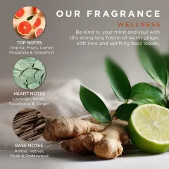 Baylis & Harding Ginger, Lime & Basil Leaf Body Care Gift Set with Candle 6 pcs thumbnail 4