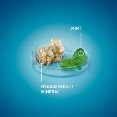 MEDIBLANC Whitening Toothpaste (Whitening Toothpaste) thumbnail 5
