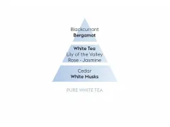 Maison Berger Paris Catalytic lamp refill Pure White Tea (Lampe Recharge/Refill) 500 ml 2