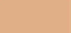 Shiseido Radiant Lifting Concealer 2.7 g - 201 thumbnail 2