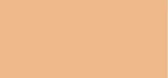 Laura Mercier Tinted moisturizing skin cream (Tinted Moisturizer Light Revealer) 50 ml - 1W1 Porcelain 1