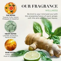 Baylis & Harding Gift set Ginger, Lime & Basil 4 pcs thumbnail 3