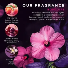 Baylis & Harding Gift set in velvet bag Boudoire Tropical Paradise 5 pcs thumbnail 4