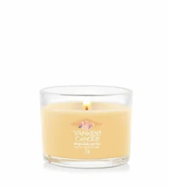 Yankee Candle Slopeside Spritz thumbnail 1