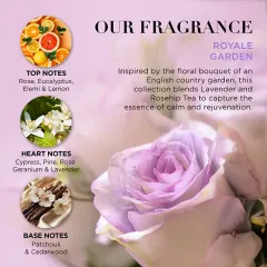 Baylis & Harding Gift set Lavender & Rosehip tea Set of 4 pcs thumbnail 3