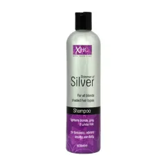 Xpel Shimmer Of Silver thumbnail 1