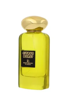 Pierre Bernard Pierre Bernard Classic Citrus Burst Edp 100ml thumbnail 3