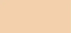 L'Oréal Paris  Make-up and corrector 2 in 1 Infaillible (Skin Ink) 15 ml - 270 Medium Warm thumbnail 2