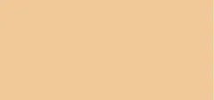 Smashbox Smashbox Long-lasting make-up Always On (Skin-Balancing Foundation) 30 ml - F20C thumbnail 2