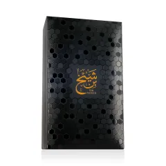 Ahmed Al Maghribi Bin Shaikh thumbnail 2
