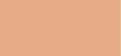Sensai Total Finish powder make-up refill (Refill) thumbnail 6