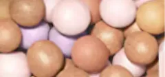 Guerlain Météorites thumbnail 7