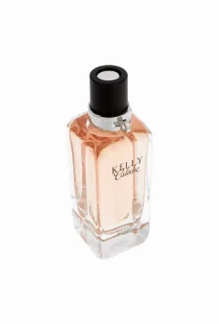 Hermes Kelly Caléche thumbnail 4