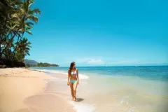 Hawaiian Tropic Protective Dry Spray Oil thumbnail 3