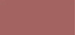 Collistar Puro Lip Gloss Shine thumbnail 2
