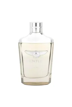 Bentley Infinite 3