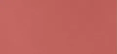 L'Oréal Paris  Infaillible Liquid Lipstick (Laque Resistance) 4.3 ml - 213 Smoked Rose thumbnail 1
